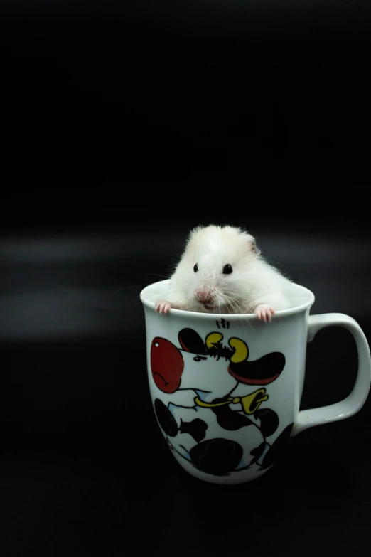 a small animal in the bottom of a coffee cup