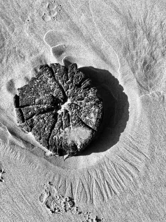 a rock with some tiny footprints in the sand