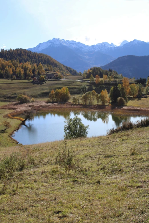 a field with a pond, mountains and trees in the background