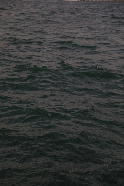 water ripples along the edge of the surface of the ocean