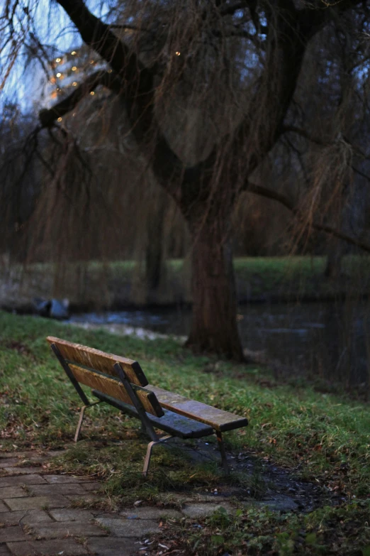 a wooden bench sitting by the river in the park