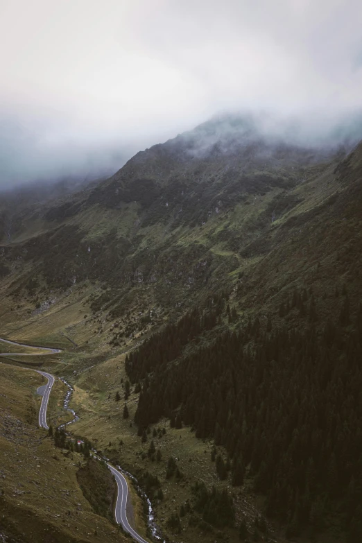 the road is winding in an otherwise forested area