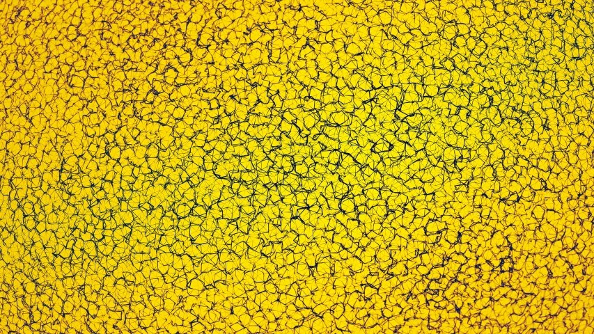 the top of a yellow and black background