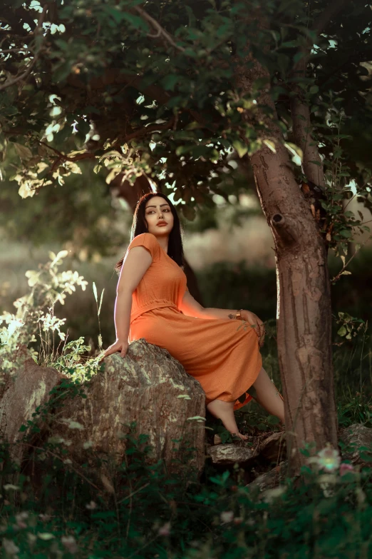 a woman sits on a rock under a tree