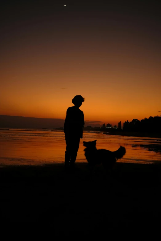 a person standing next to a dog at the beach