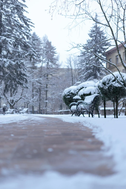 a bench in the middle of a snow covered walkway