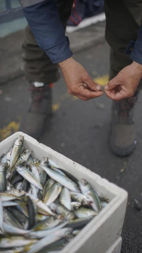 a man with one hand on the ground by a container of fish