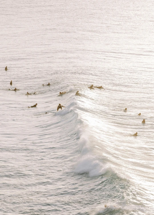 birds fly through the water off of a wave
