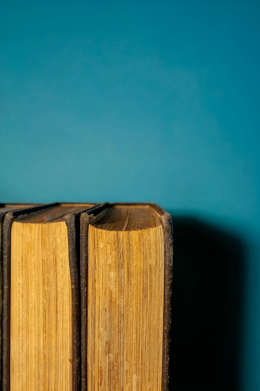 three open books are standing on a shelf