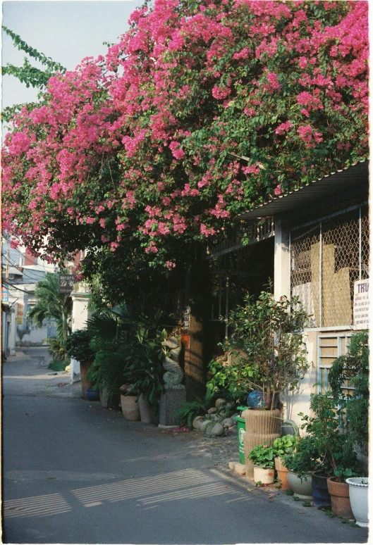 several pots are lined up on the outside of the building