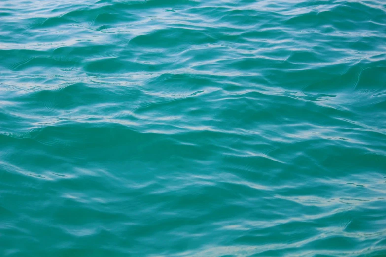 waves are blue as they sit on the surface of the water
