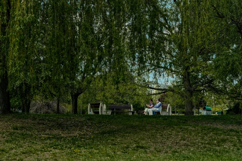 a couple is sitting on a park bench under some trees