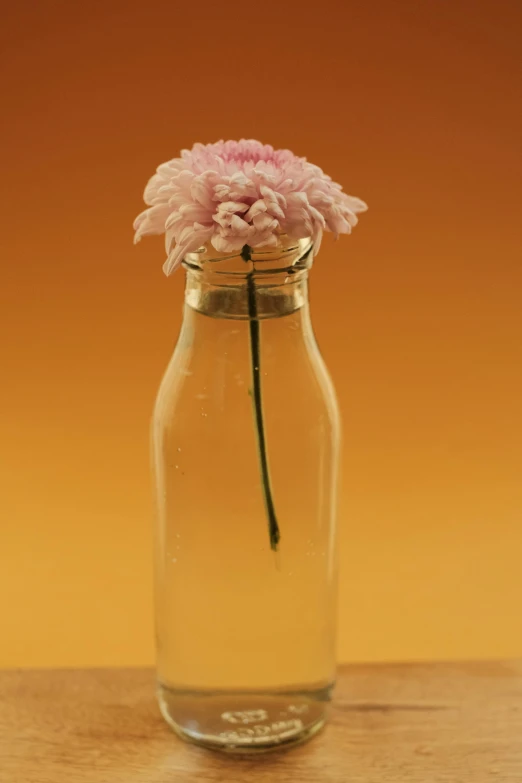 a clear vase holding pink flowers on a table