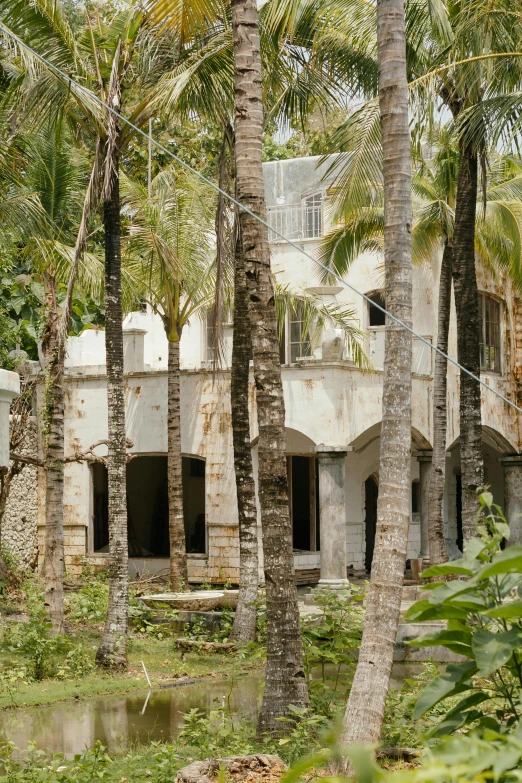 an old building surrounded by palm trees