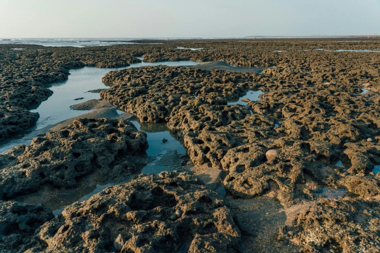 aerial view of muddy beach with water partially flooded