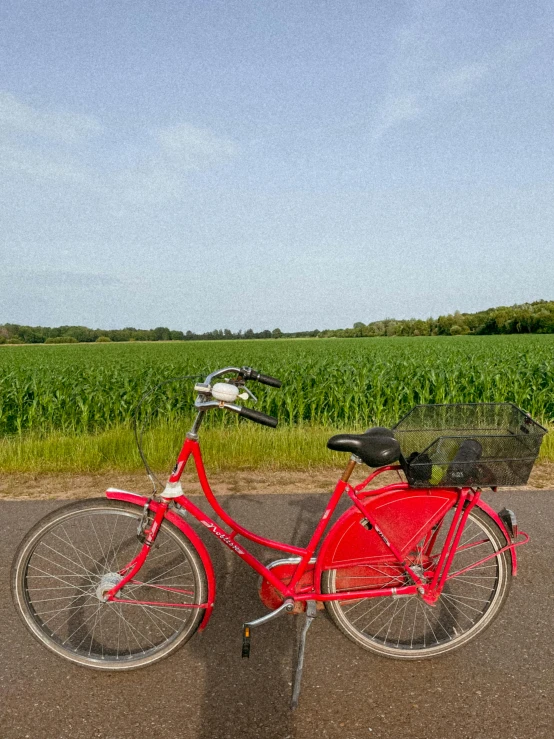 a red bike with a basket is parked on a paved road