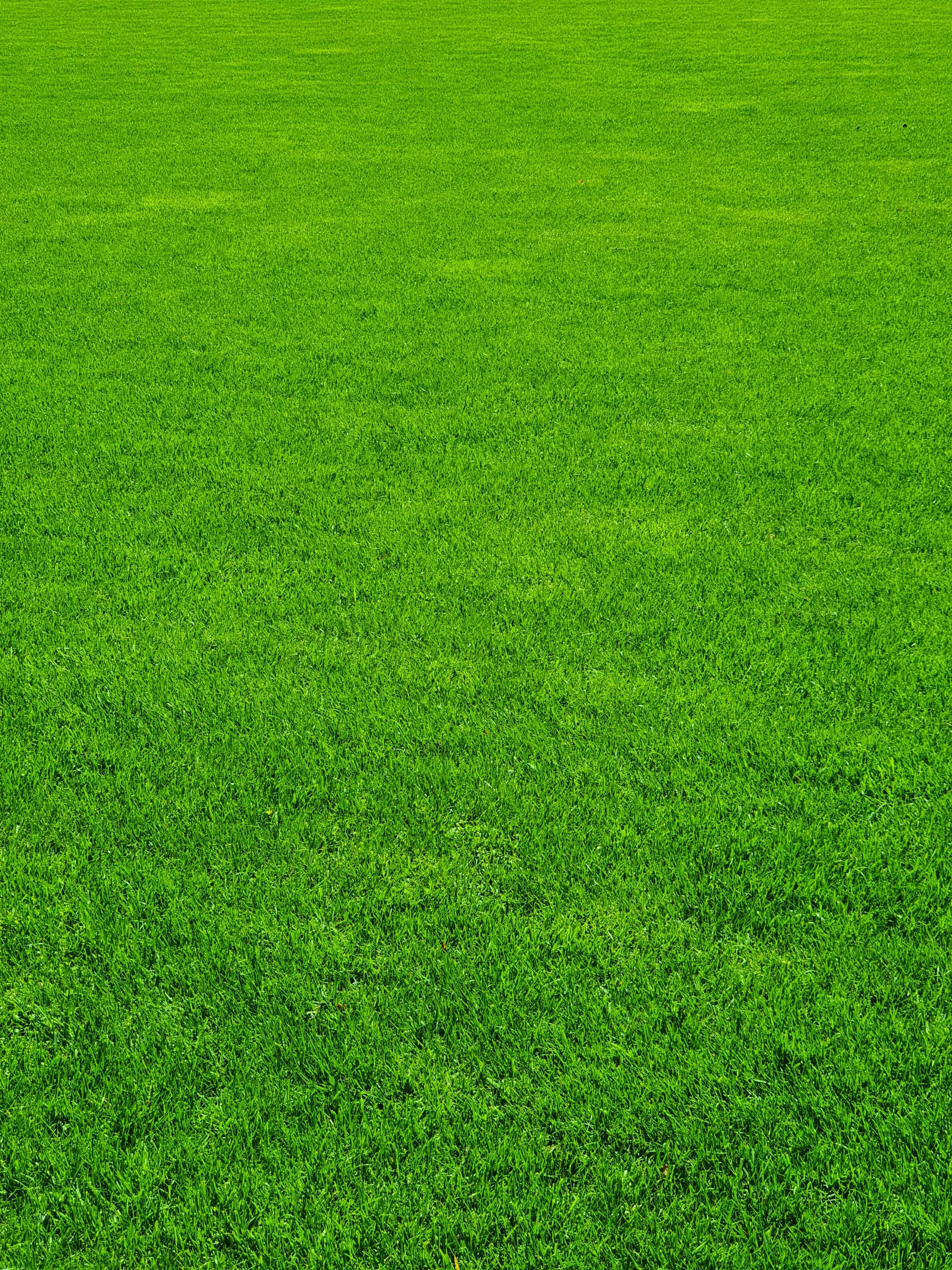 a man walking across a field with a baseball bat