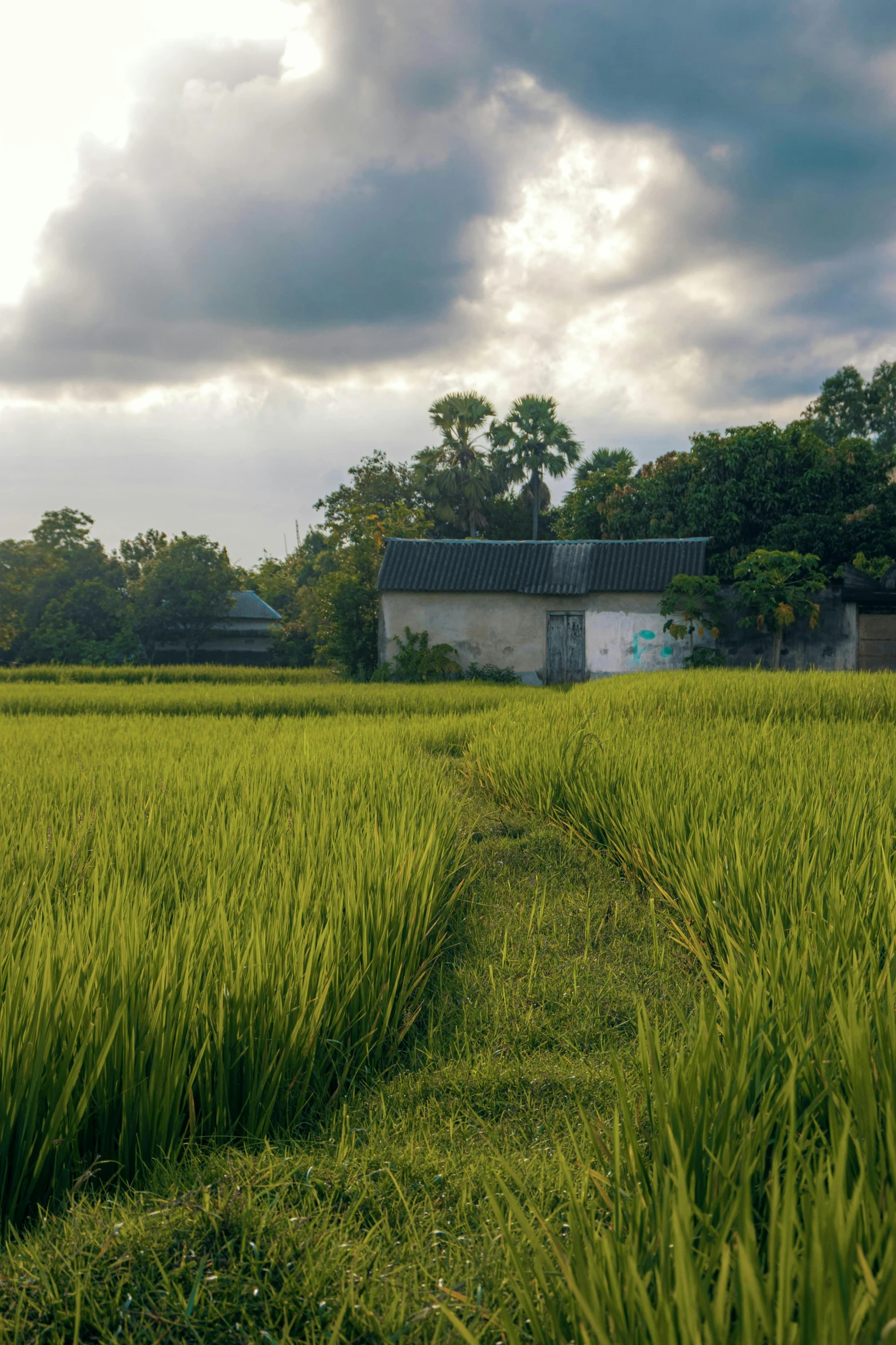 the building is sitting over the lush green grass