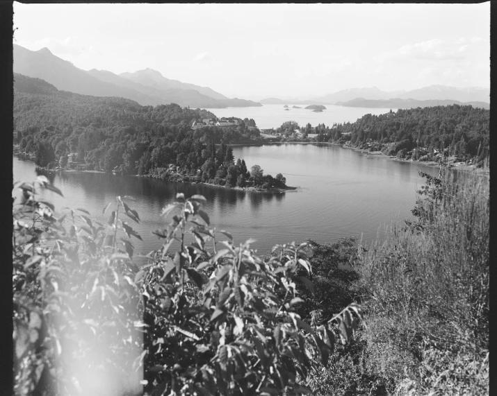 a black and white po of some trees water and mountains