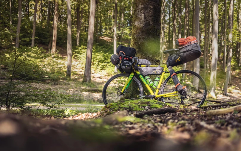 there is a yellow bicycle in the woods