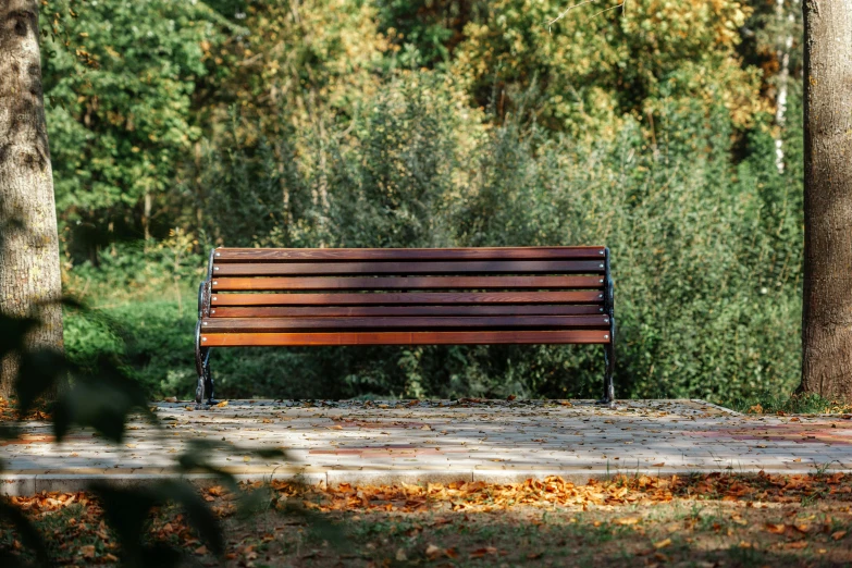 a bench sits in front of some trees