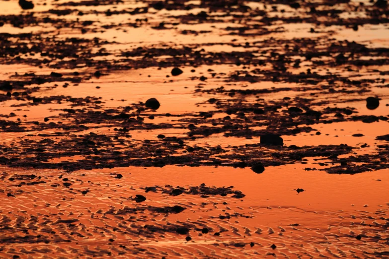 a view of a sandy shore with an orange sky in the background