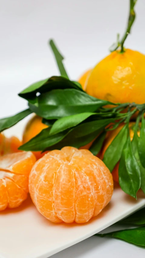 a close up of a plate with an orange and leaves