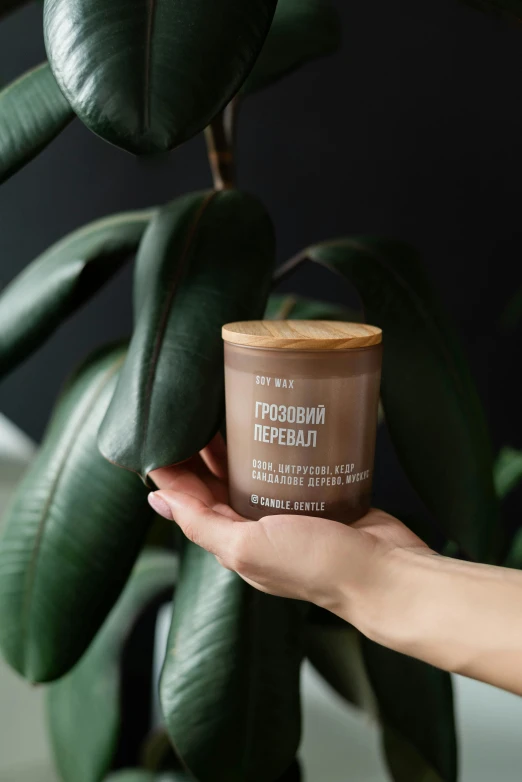 a hand holding a jar of cream on top of a plant