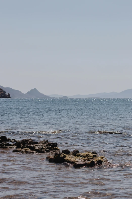 a bird standing on the side of a large body of water