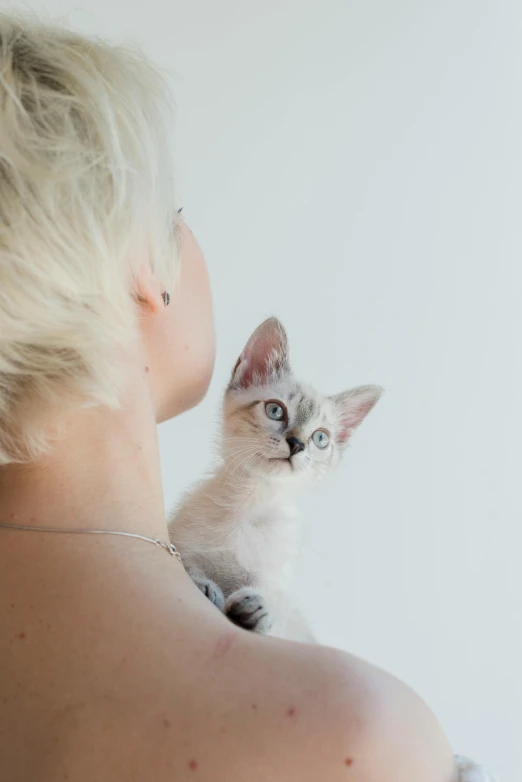 a kitten looking at itself in the mirror