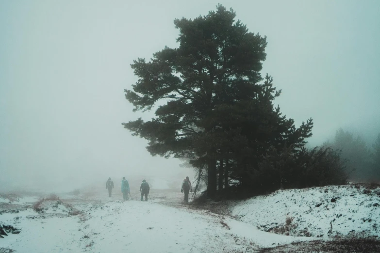 a group of people standing on a snow covered hill with a tree