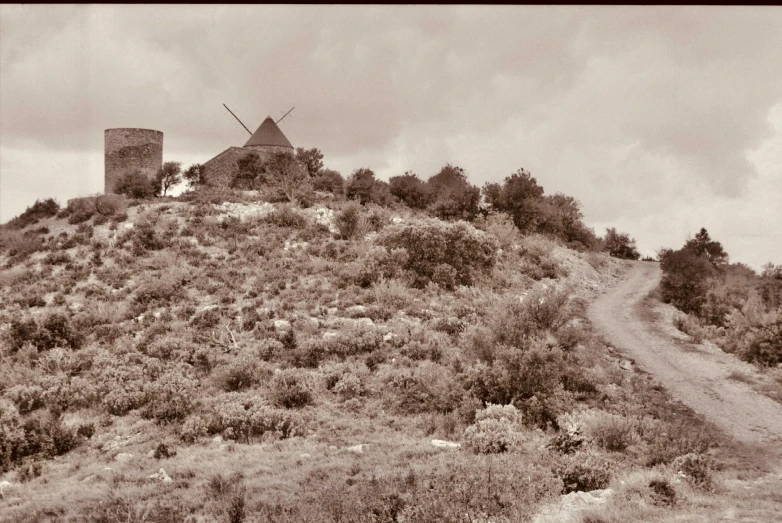 a black and white po of the top of a hill