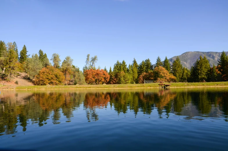 a beautiful reflection of trees on the still water