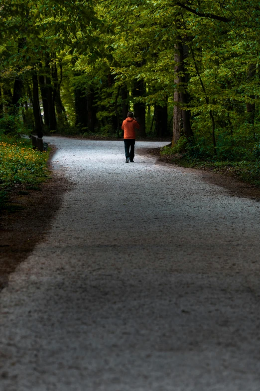 man walking down a long winding, tree lined path