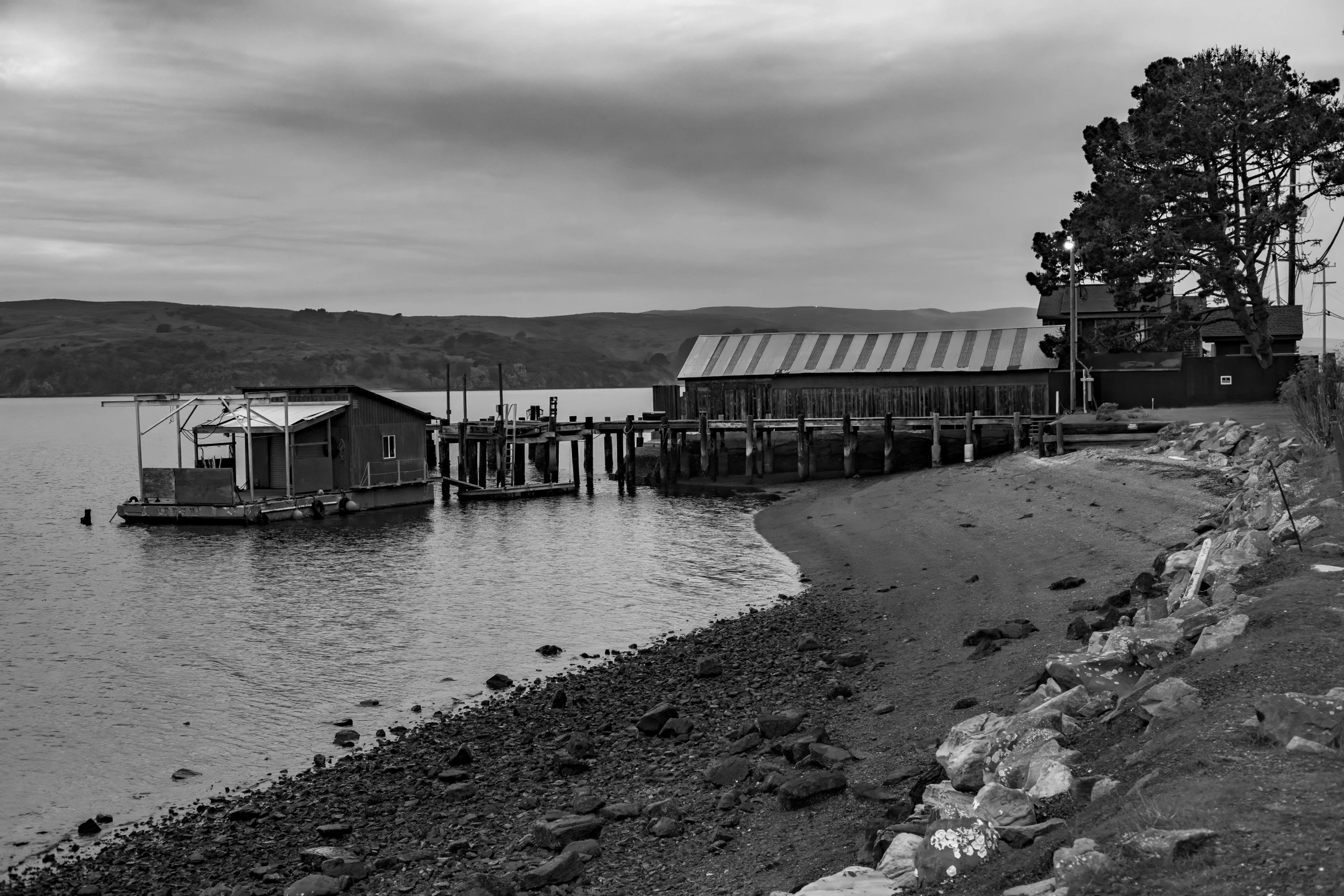 black and white po of pier with water