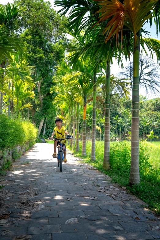 a person riding a bicycle down a brick path