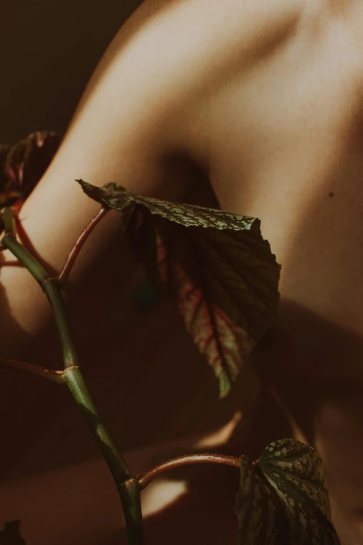 a woman's bare body with a leaf and a rose