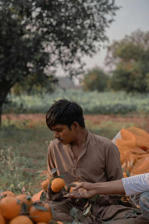 a man in a field of fruit peeling some oranges