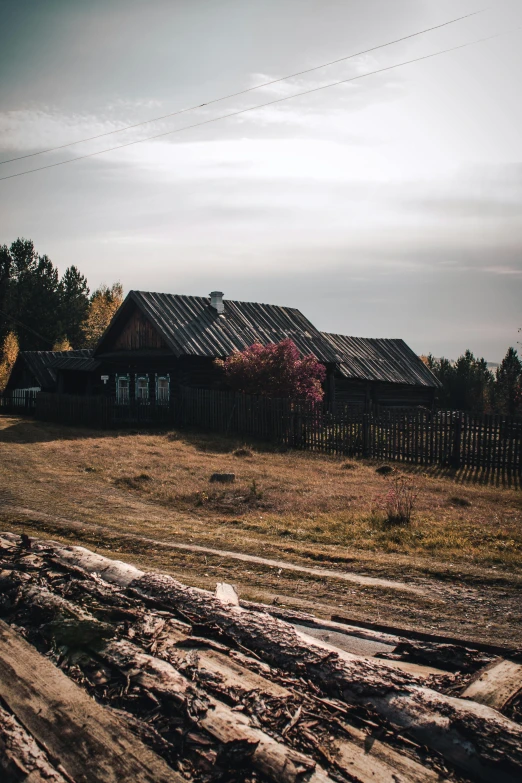 a dirt and tree log road and a house