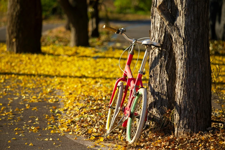 bike parked against a tree on a sidewalk