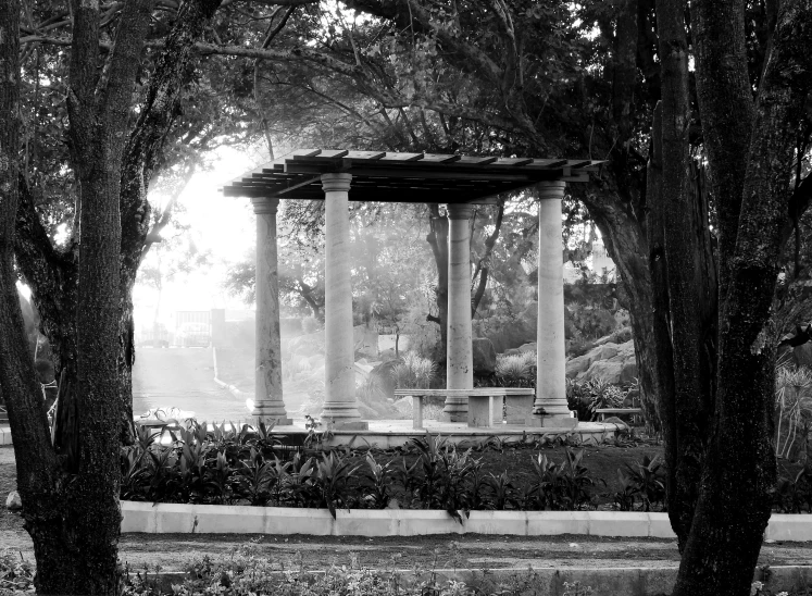 an empty park bench near two trees and some water