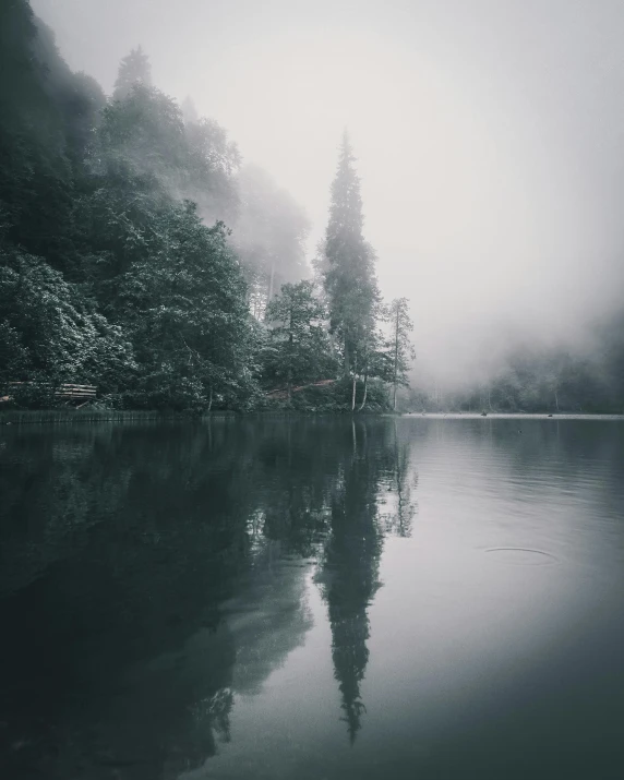 a po of fog in the background on a lake