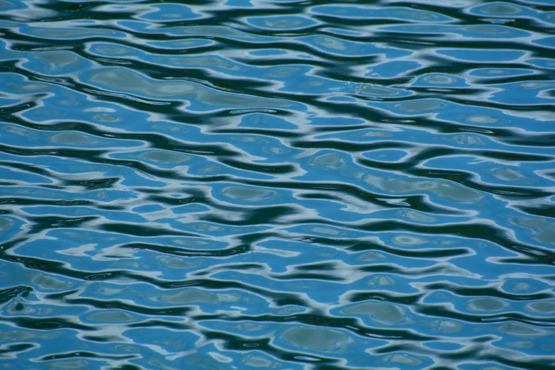 a blue water surface that is reflected by some dark green lines