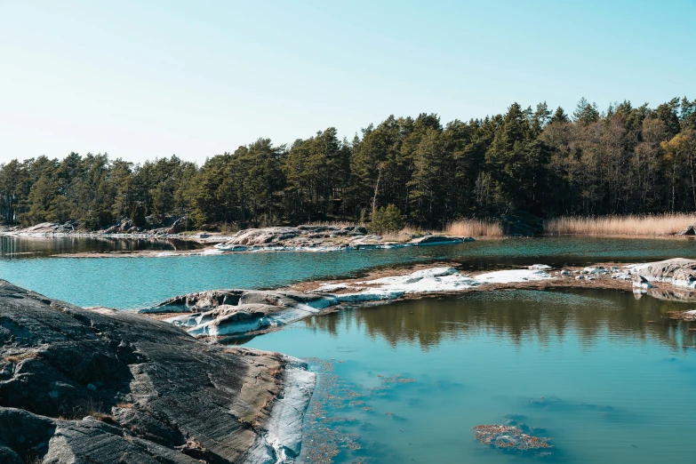 a body of water with a lot of trees and rocks around it