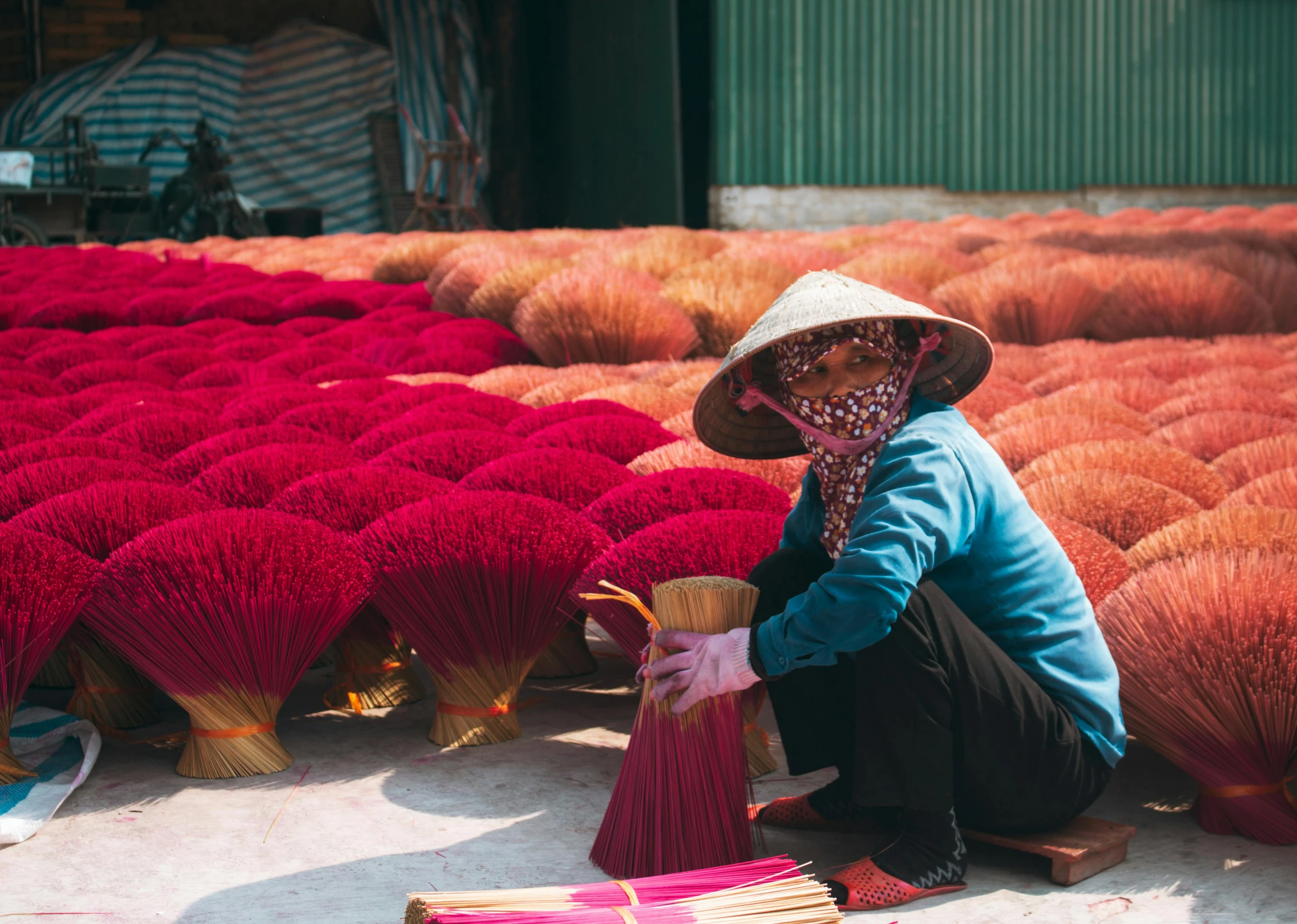 a woman sitting on the ground surrounded by red stalks