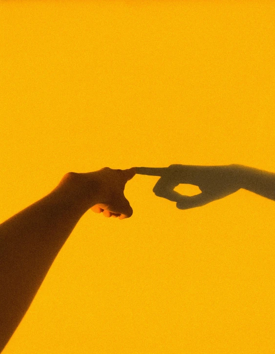 a giraffe has its shadow cast on the wall with his hand