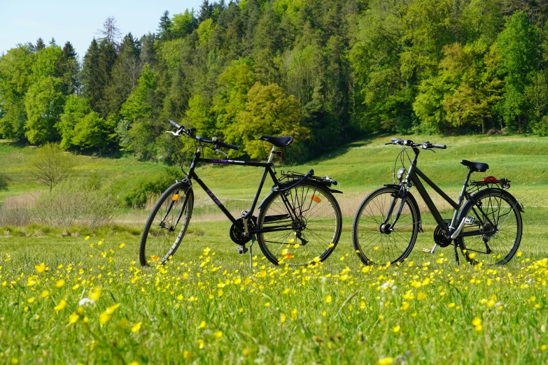 two black bicycles parked on the grass with mountains in the distance