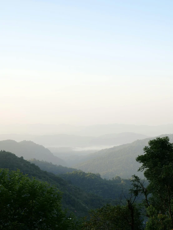a foggy mountain range with trees and mountains in the distance