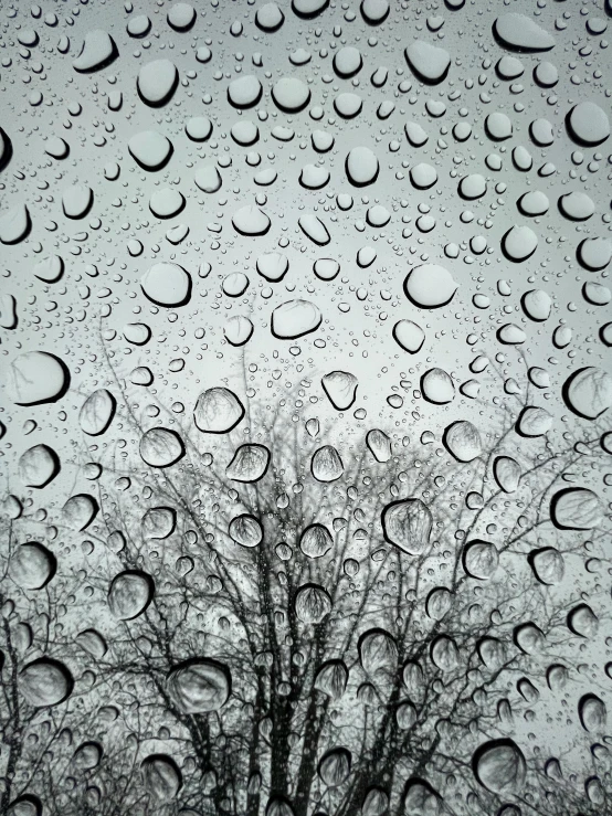 the view of trees through a rain covered window