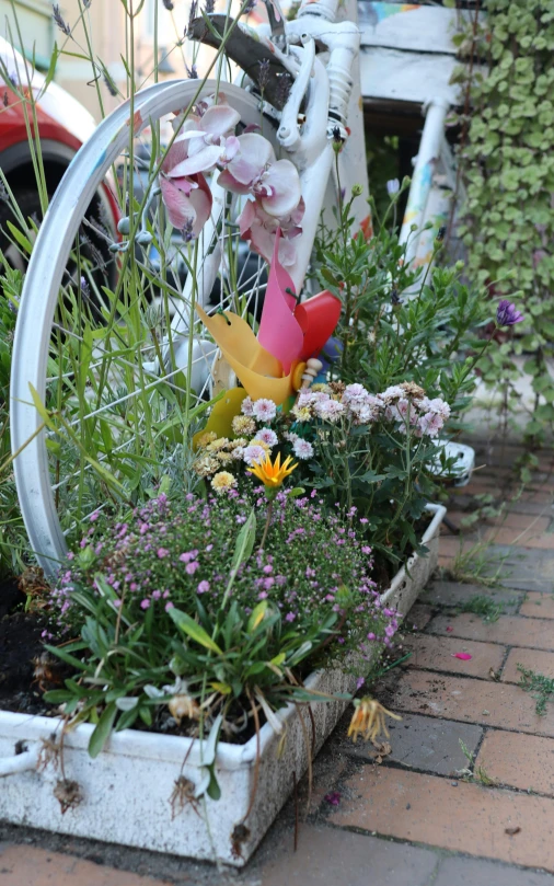 an assortment of flowers on display by a bike